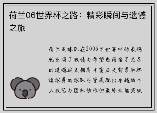 荷兰06世界杯之路：精彩瞬间与遗憾之旅